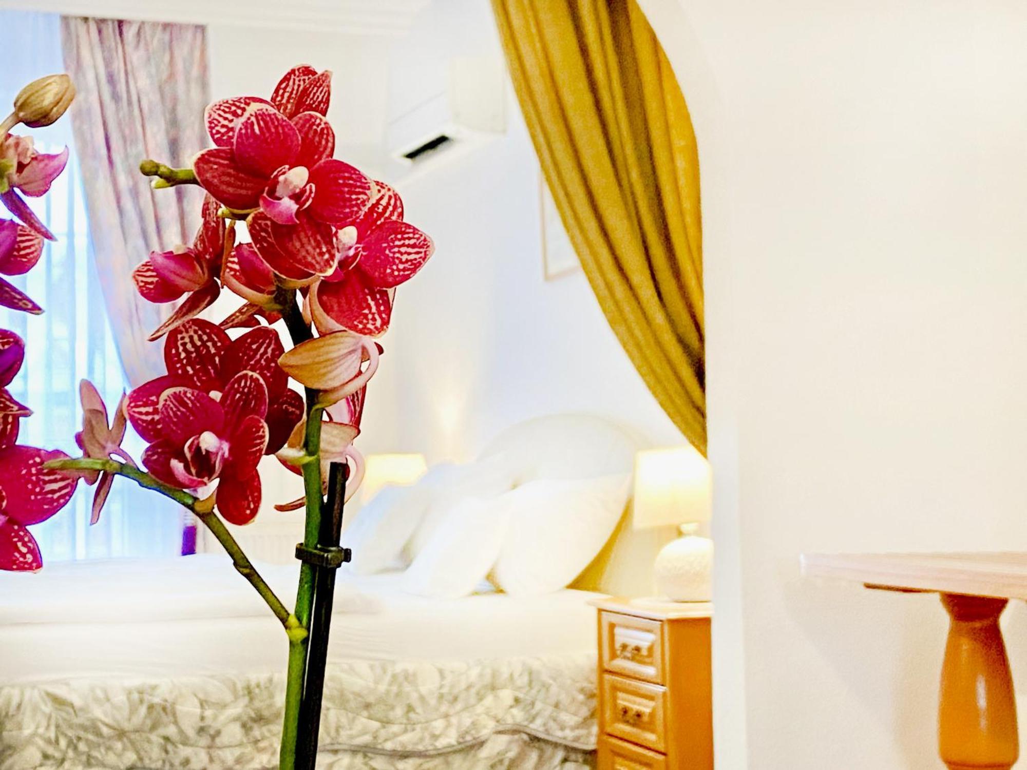 Hotel Wesselenyi Дьєр Екстер'єр фото